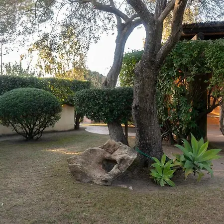 Apartman Welcomely - S'olia-l'olivo